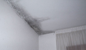 umidità condensa sul soffitto